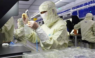 中國大步邁向手機(jī)面板強(qiáng)國 晶科微電子的引領(lǐng)之路